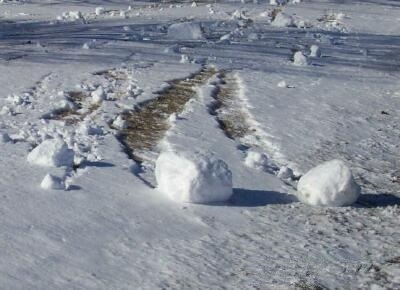 Snow rollers scattered across a field in Illinois, with tracks showing their movement