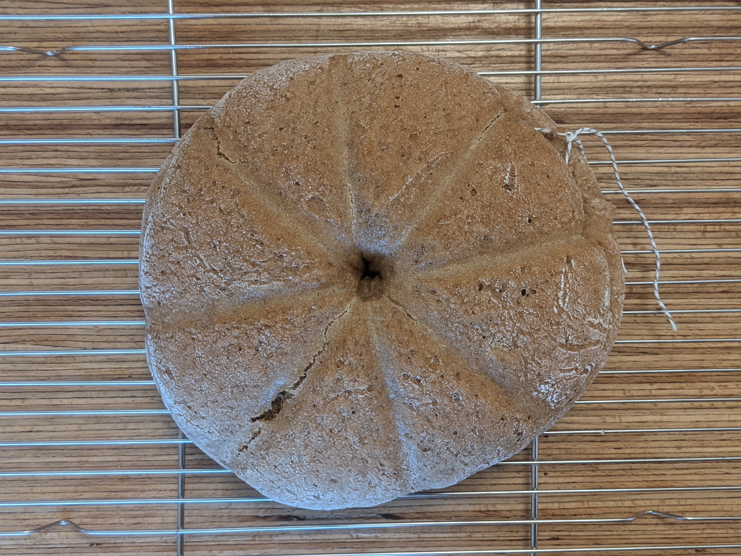 A modern recreation of the segmented Roman loaf resting on a cooling rack