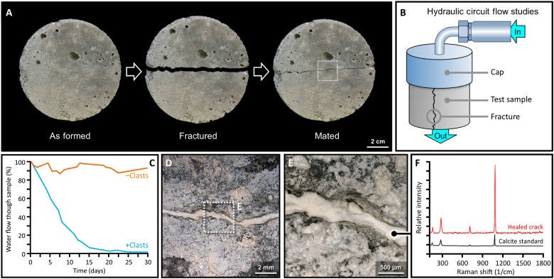 Original experimental figure: cracked sample, water-flow test and mineral-filled crack — Seymour et al., Science Advances (2023), Figure 5. Original experimental figure; scale bars retained.