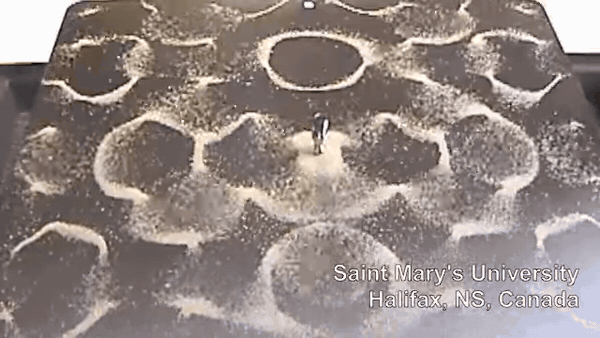 Actual demonstration footage of grains rearranging into a new pattern — Saint Mary’s University Physics (SMUPhysics). Original Chladni plate demonstration; watermark retained.