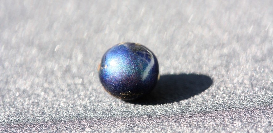 A single metallic-blue Pollia condensata fruit — Bioinspired Photonics / Cambridge University Botanic Garden. Original photograph.