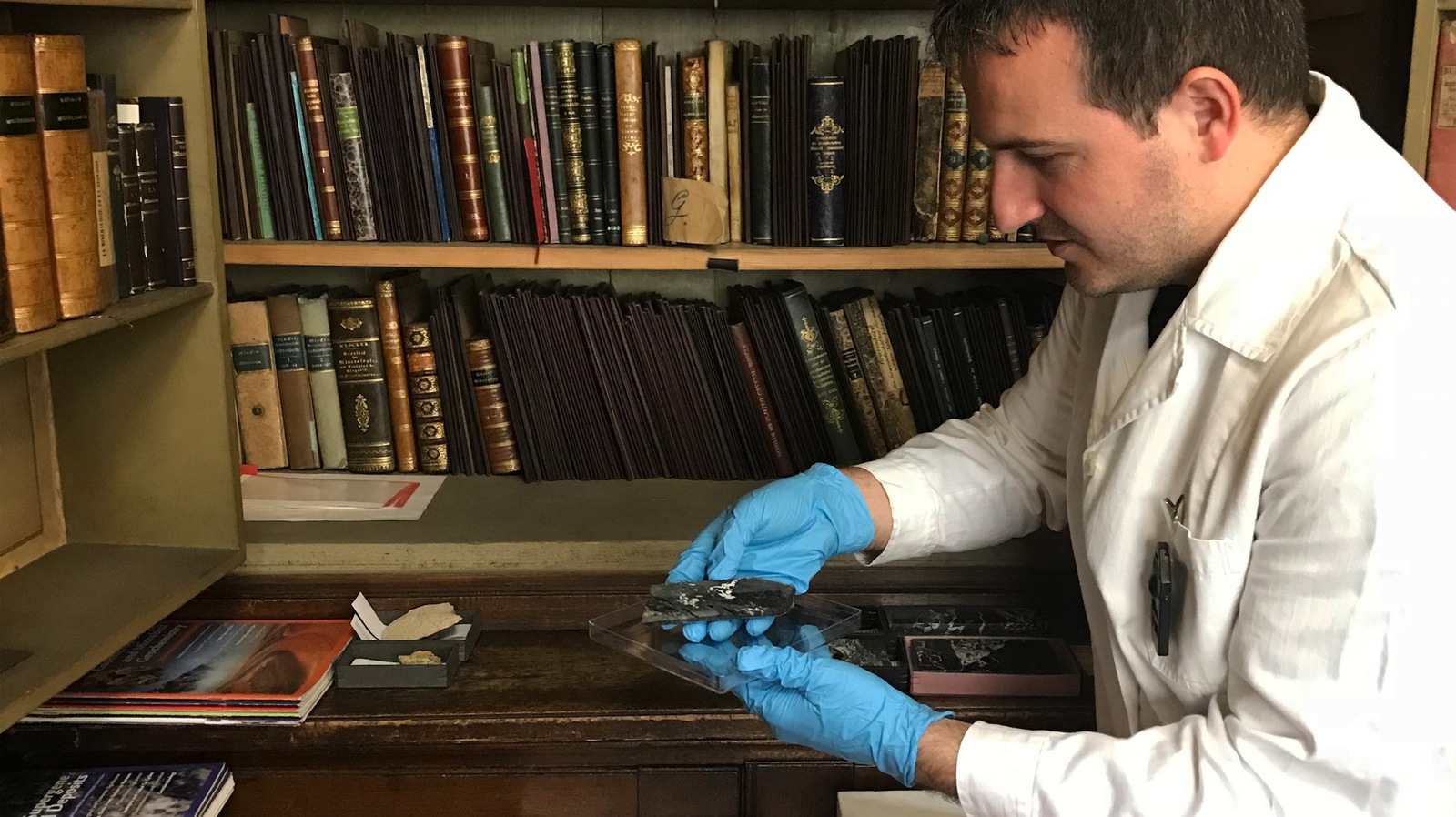 Curator Ludovic Ferrière holding a surviving Oklo reactor specimen — L. Gil / IAEA. Ludovic Ferrière holding the Oklo specimen at the Vienna Natural History Museum.