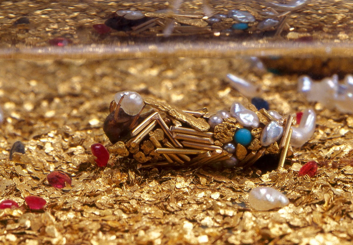 A caddisfly larva in its case assembled from supplied gold, pearls and gemstones — Hubert Duprat / Art:Concept / MONA. Photographs: Frédéric Delpech; original documentary animation via Colossal.