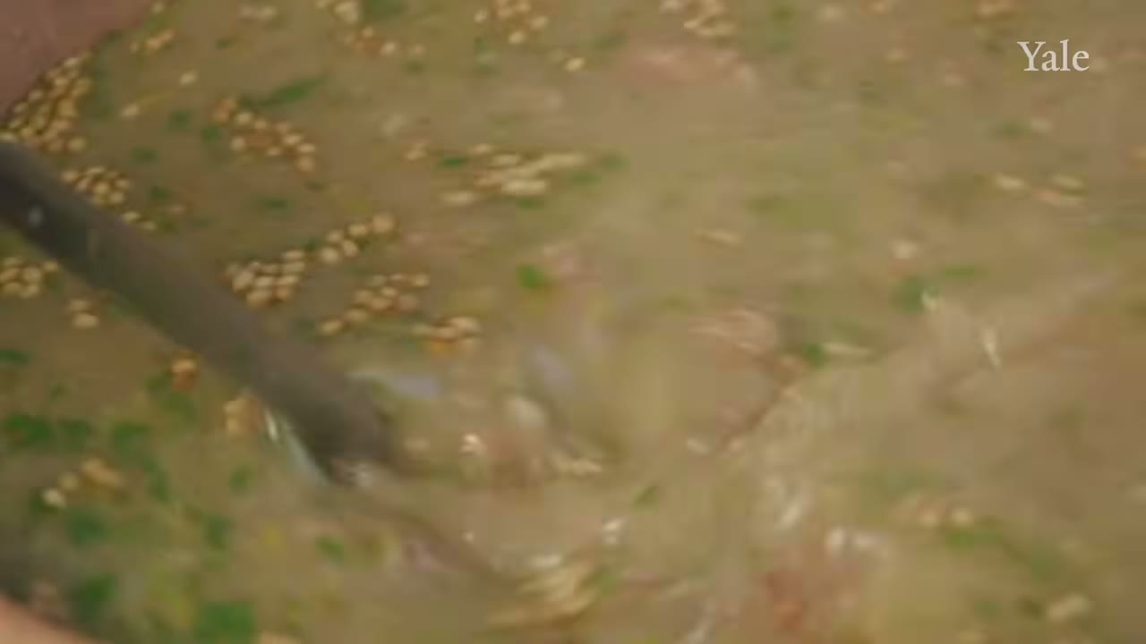 A stew prepared during the Yale–Harvard team’s modern reconstruction — Yale University Channels. Footage of a modern reconstruction of Babylonian recipes; documentary excerpt/frame.