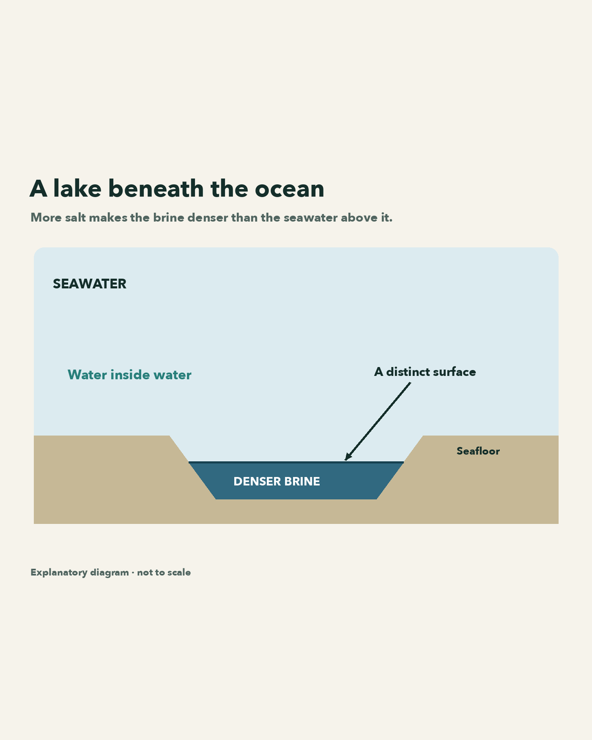 Cross-section showing dense brine collecting in a seafloor depression