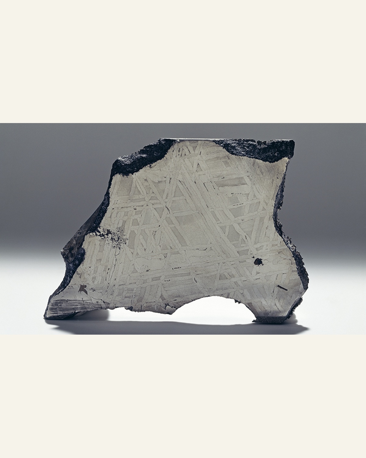A cut and etched iron meteorite specimen revealing its crystalline interior