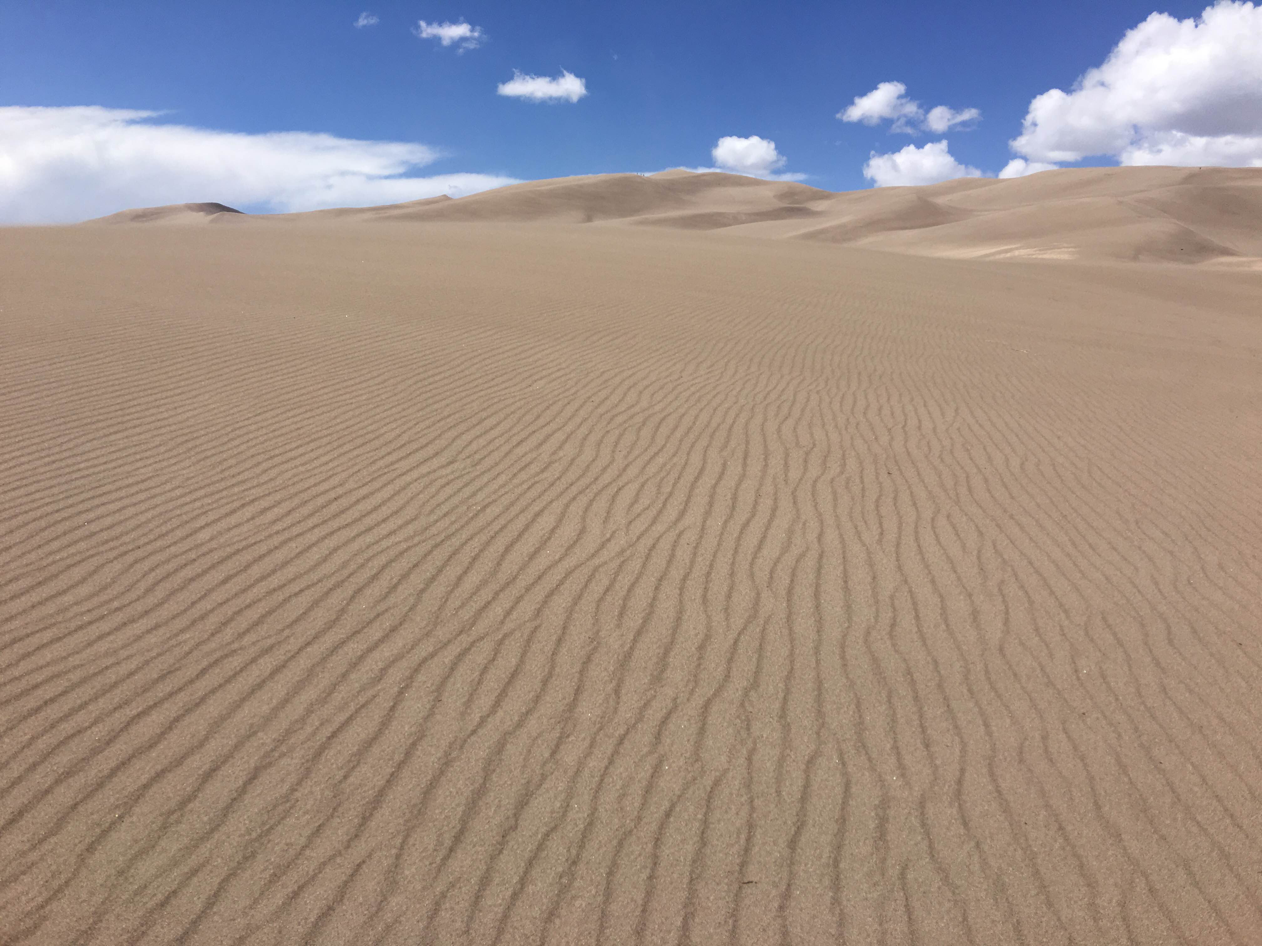 Rippled sand at Great Sand Dunes National Park & Preserve — Julie West / National Park Service. Original photograph of Great Sand Dunes National Park & Preserve.