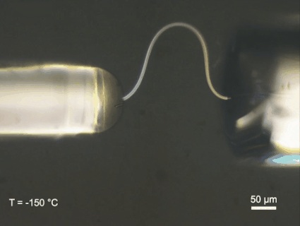 A bent solid ice microfiber between microscope probes — Zhejiang University research footage; single frame, original temperature and scale retained.