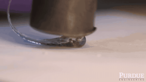 A Prince Rupert’s drop survives head impacts, then disintegrates when its tail breaks