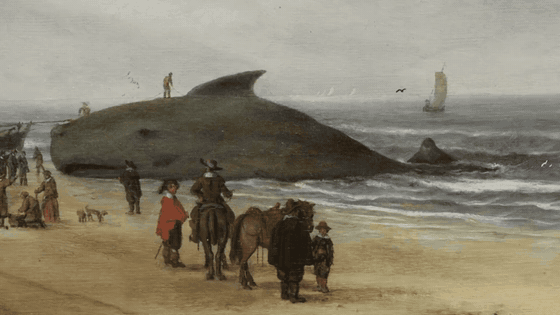 The recovered whale in Hendrick van Anthonissen’s View of Scheveningen Sands — Cambridge University / Fitzwilliam Museum; 3.5-second detail excerpt of the 2014 conservation film. The recovered whale in Hendrick van Anthonissen’s View of Scheveningen Sands