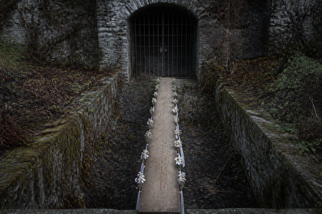 A plank crossed the sunken garden, turning the barred threshold into a narrow altar.