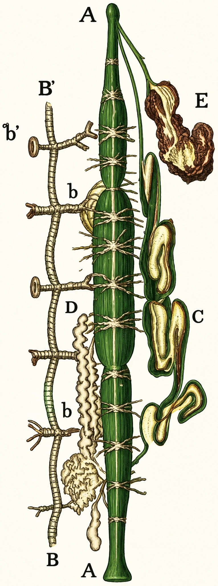 INTERIOR OF CATERPILLAR.