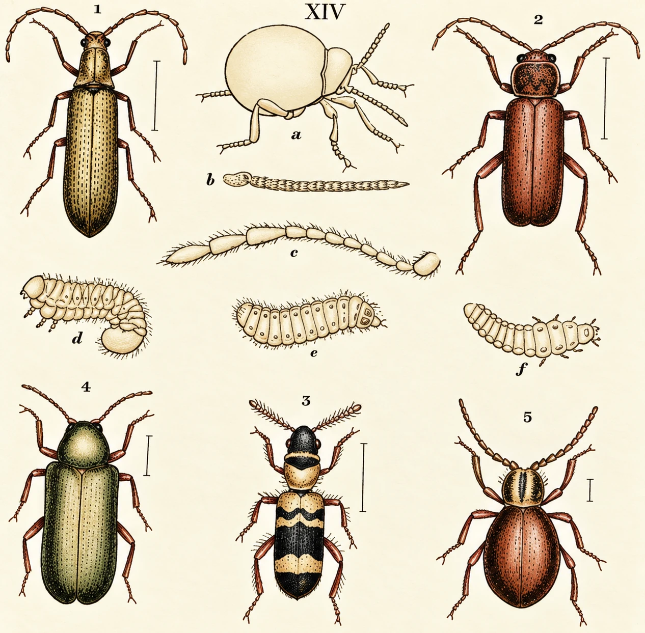 Figure from the document