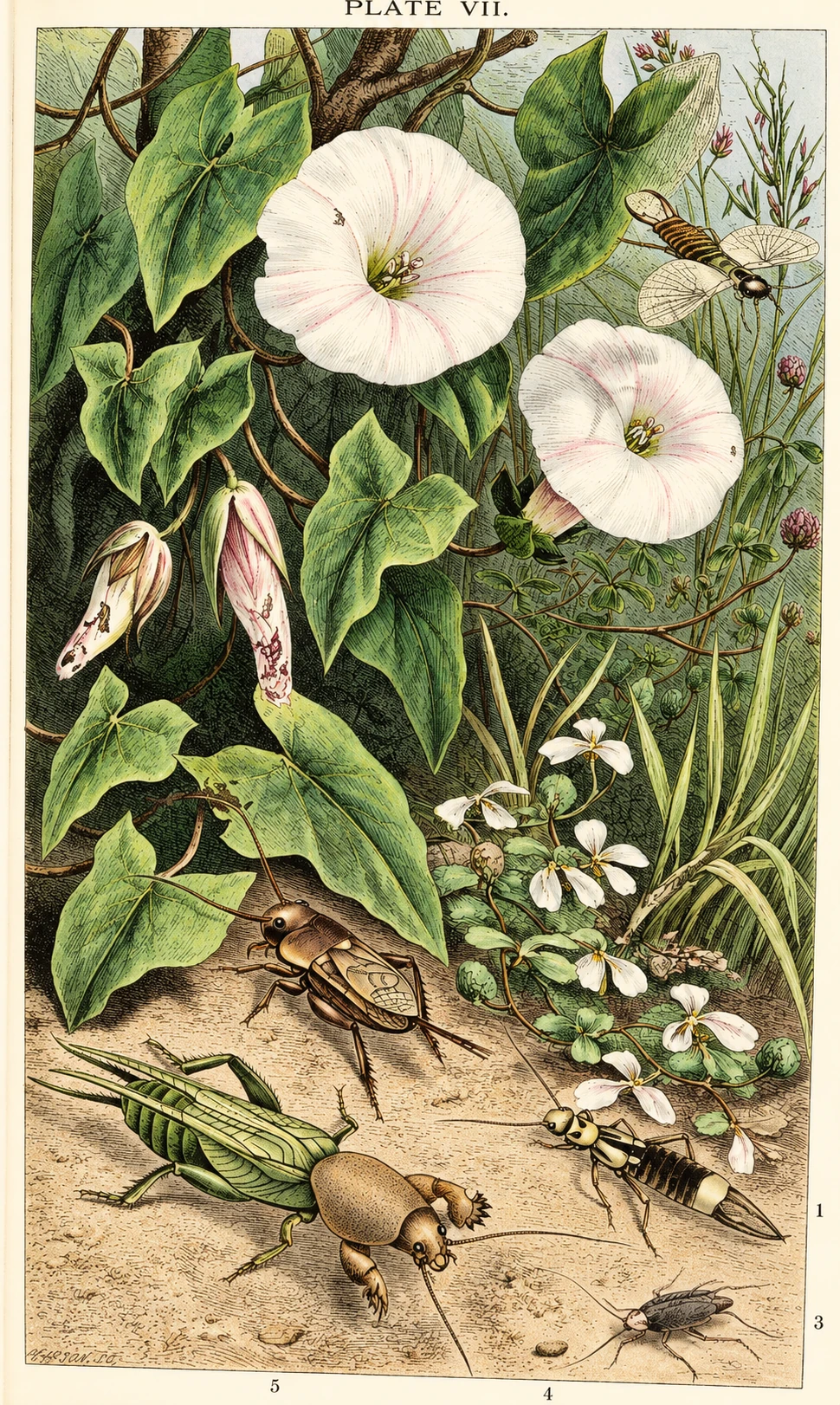 Figure from the document