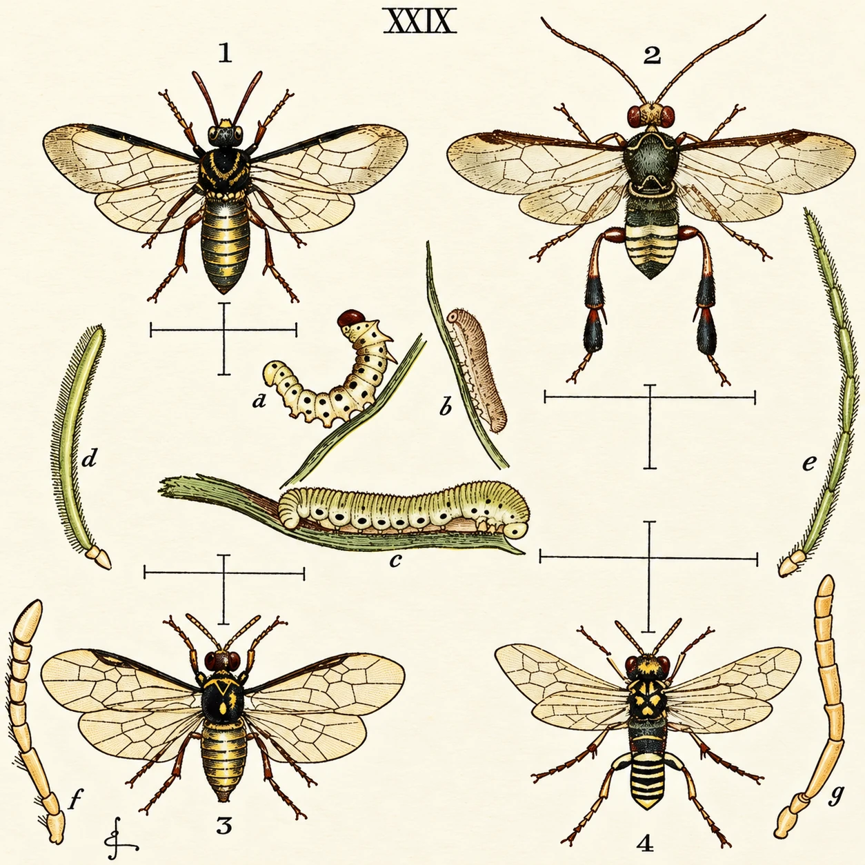Figure from the document