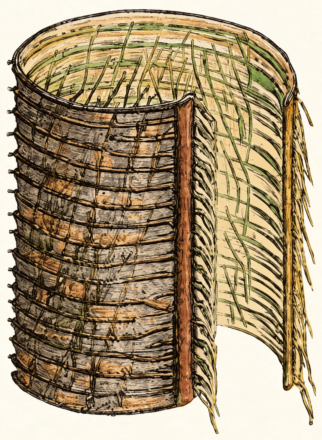 Illustration