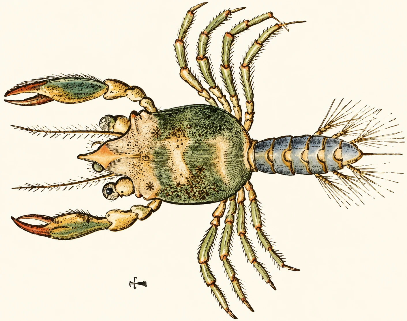 Illustration