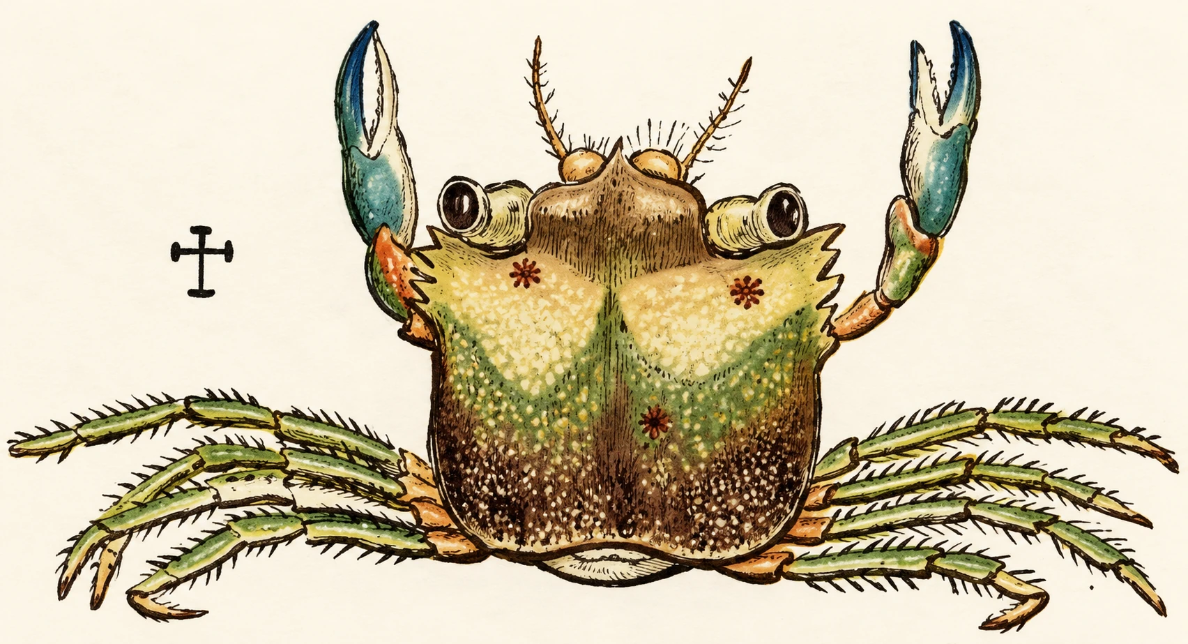 Illustration