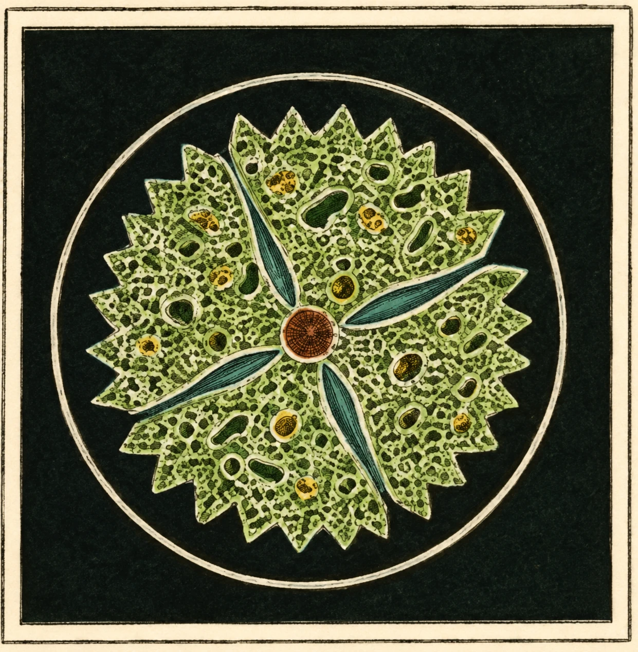 Illustration