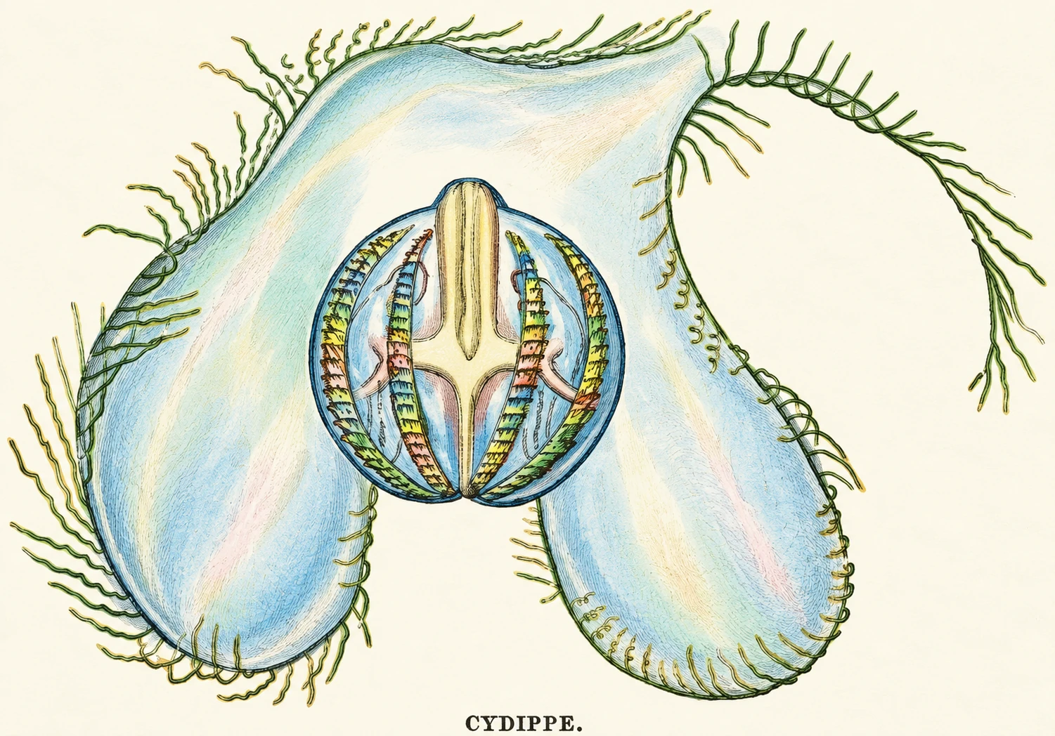 Illustration