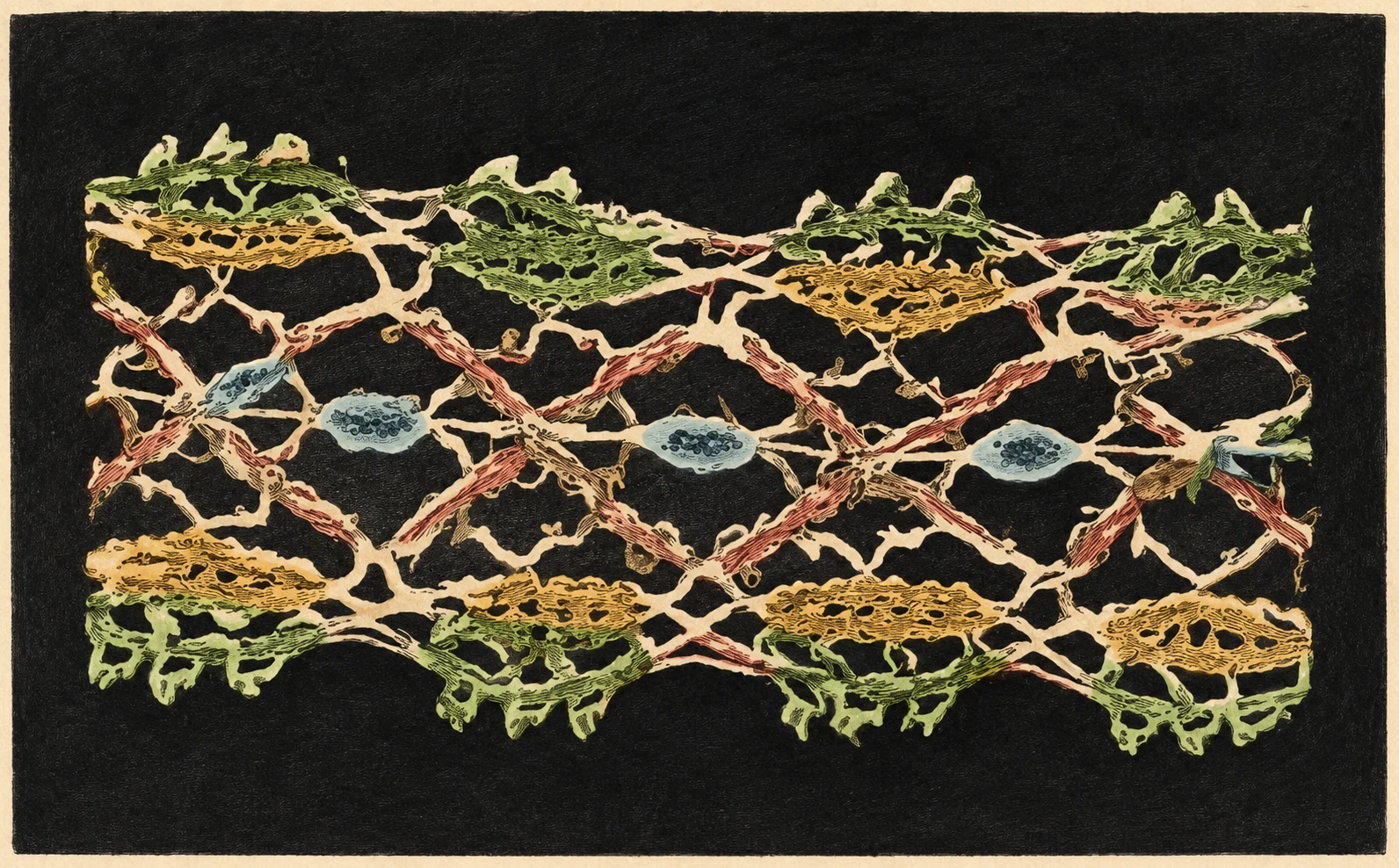 Piece of lace photographed during the lecture.