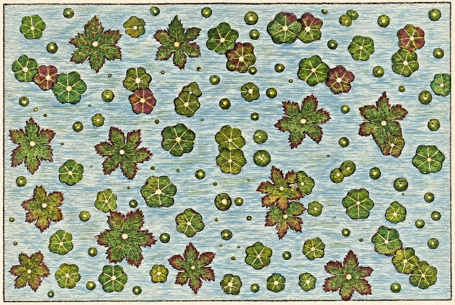 Water flowers in melting ice. — Tyndall.