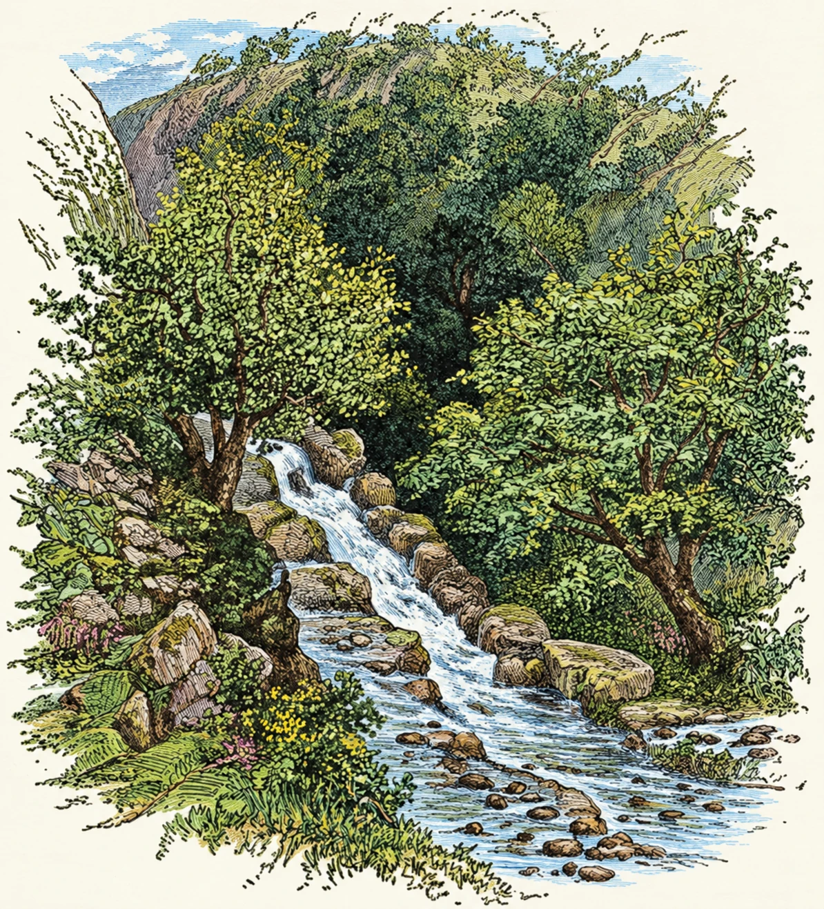 Ravine worn by water in the side of a hill.