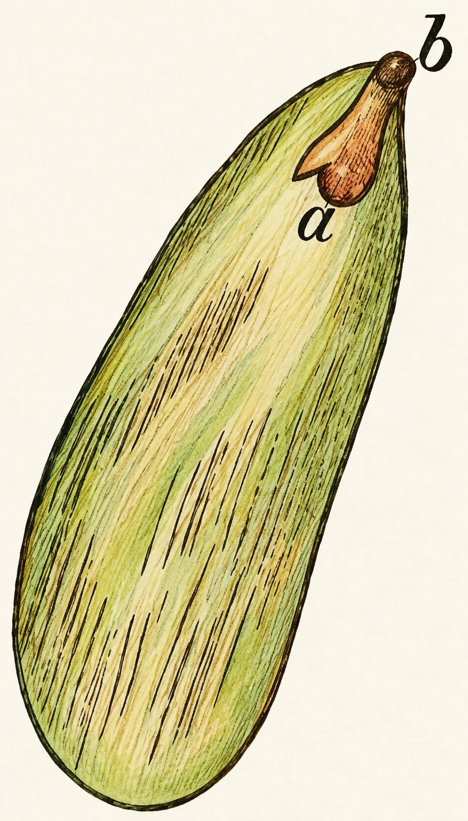 Figure from the document