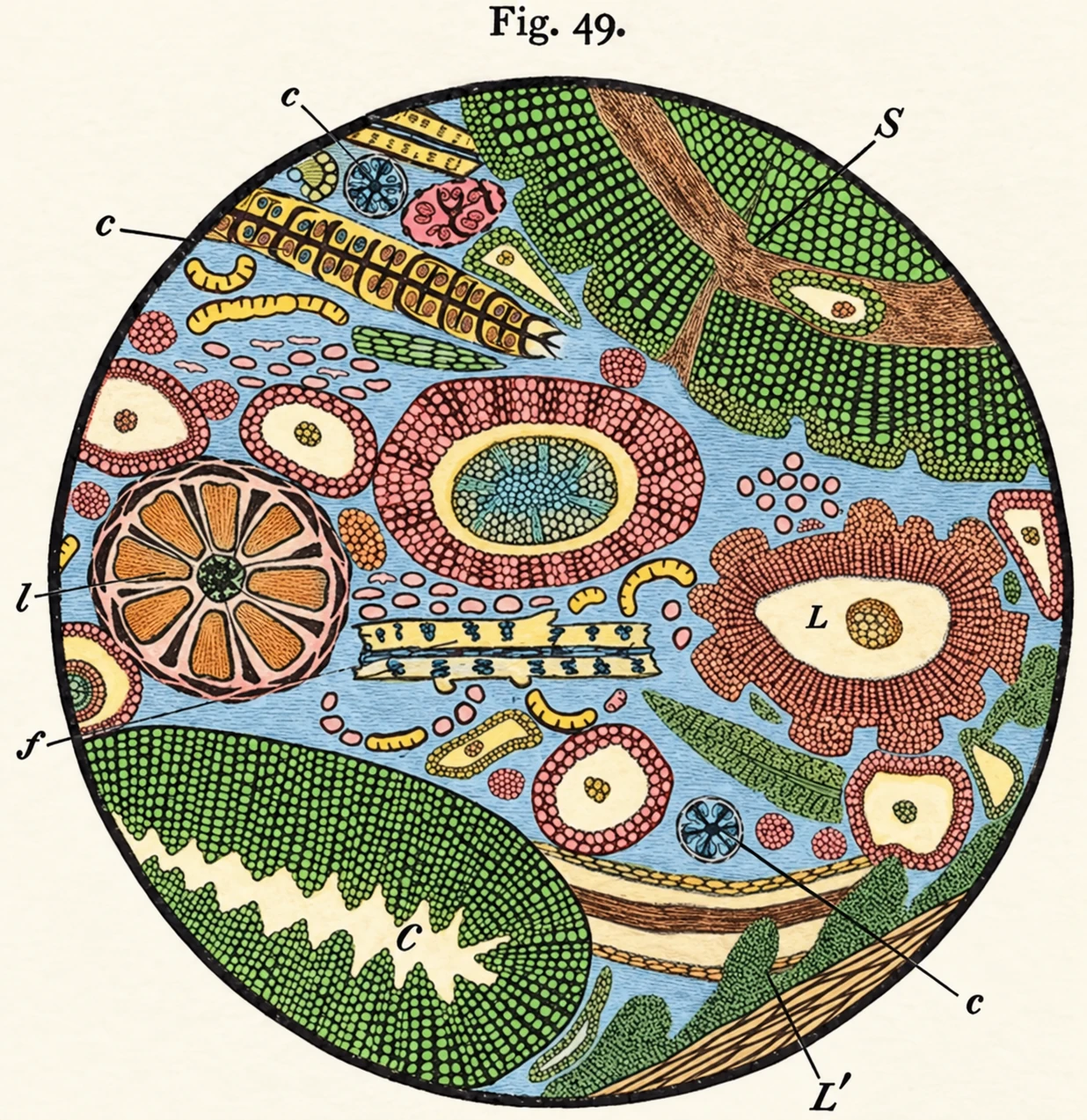 Illustration