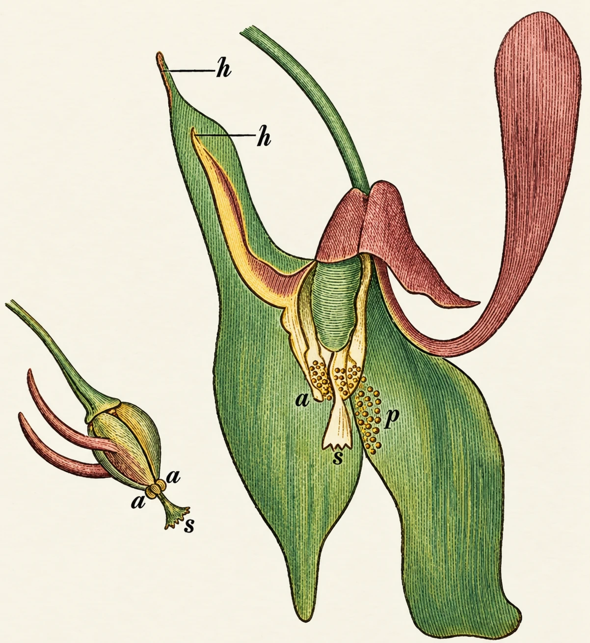 Illustration