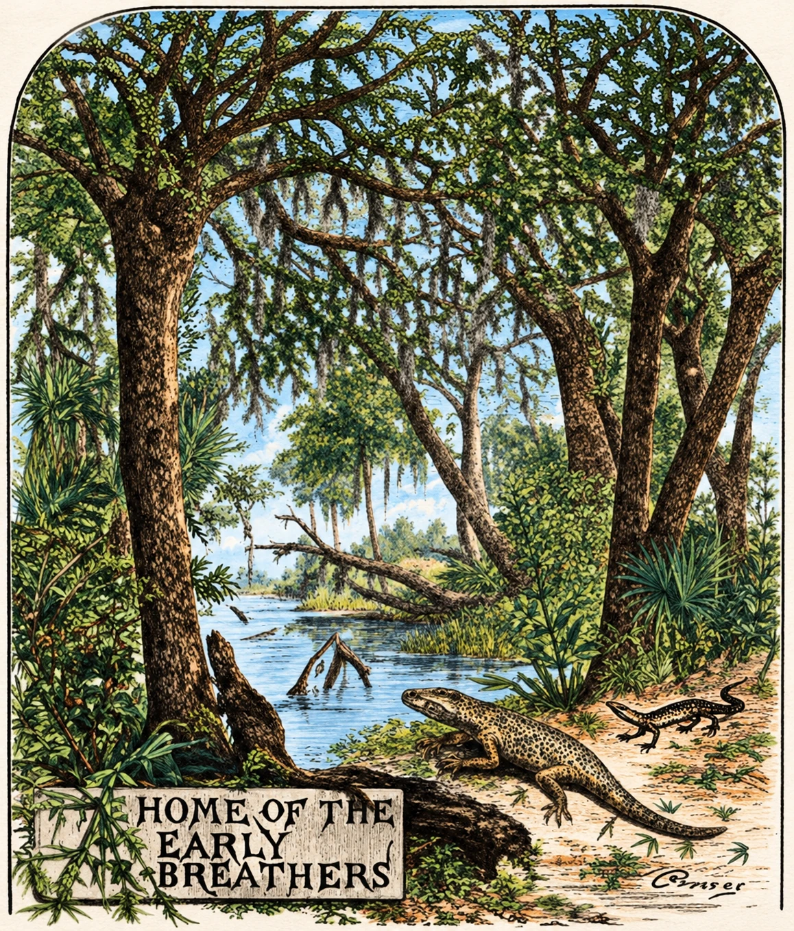 Illustration