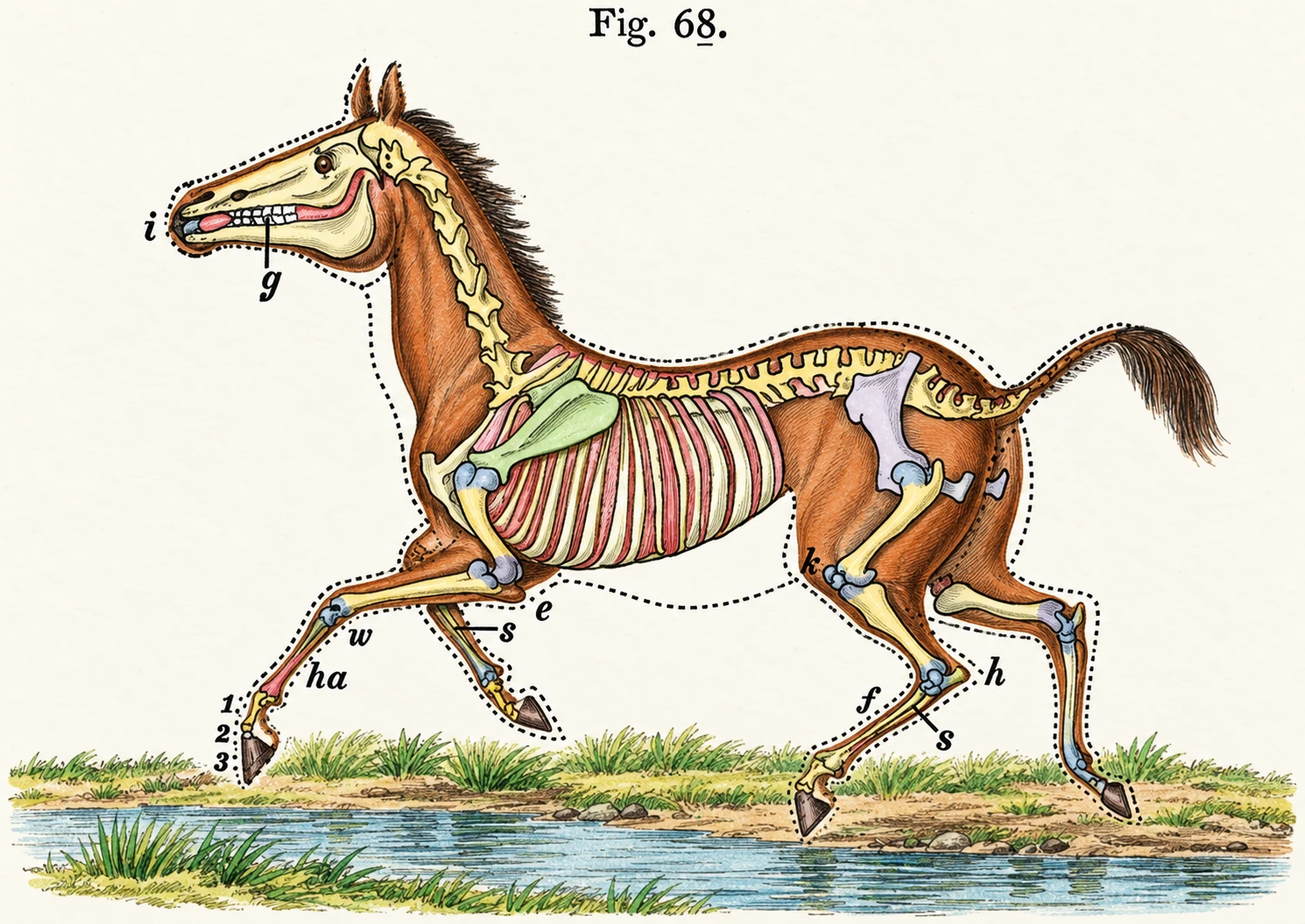 Illustration