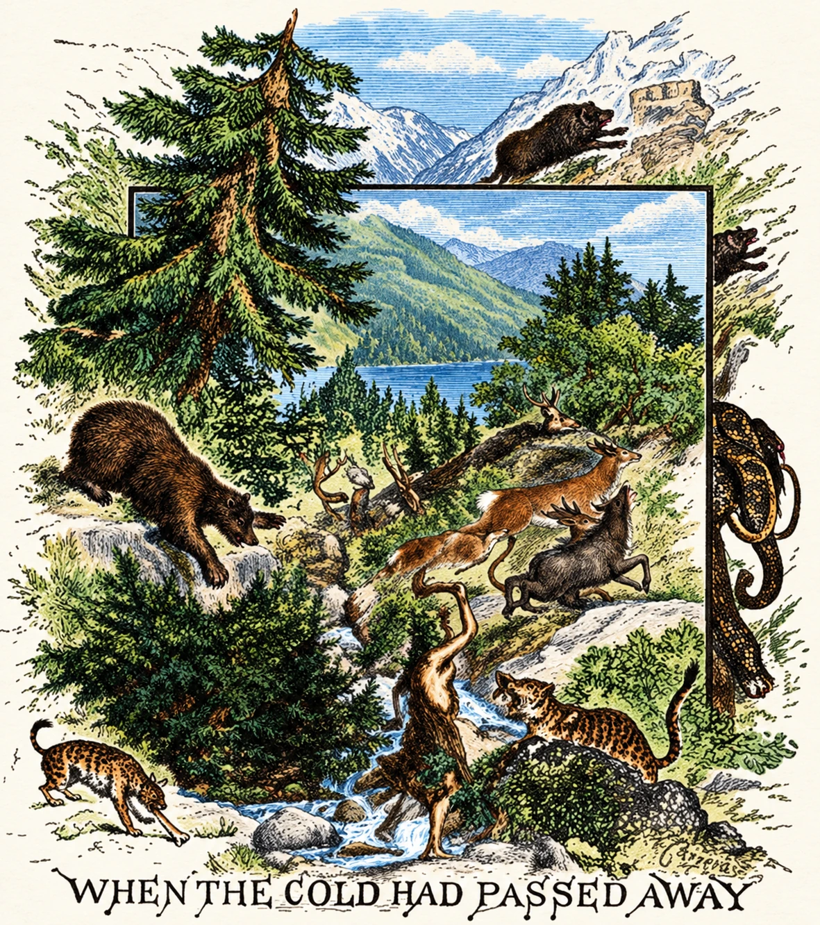 Illustration