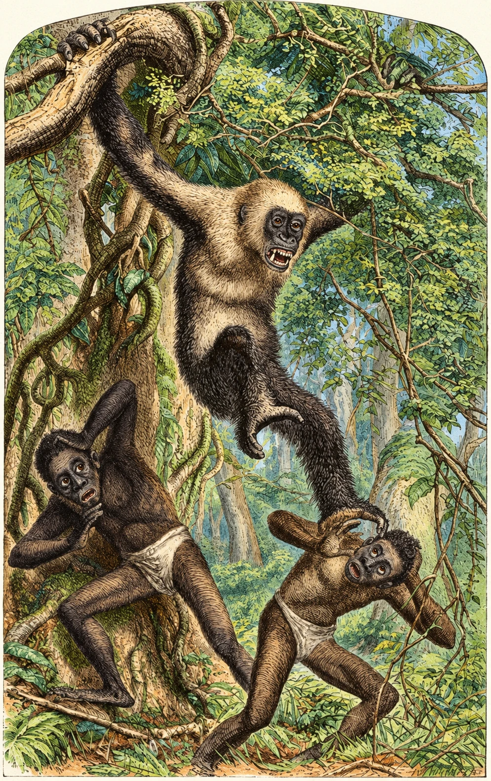 Illustration
